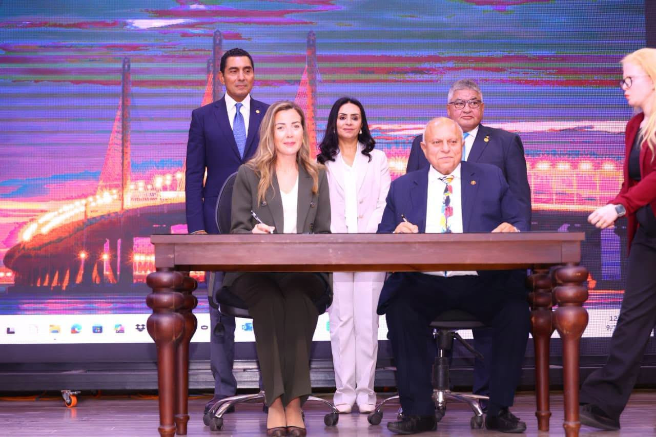 التضامن
