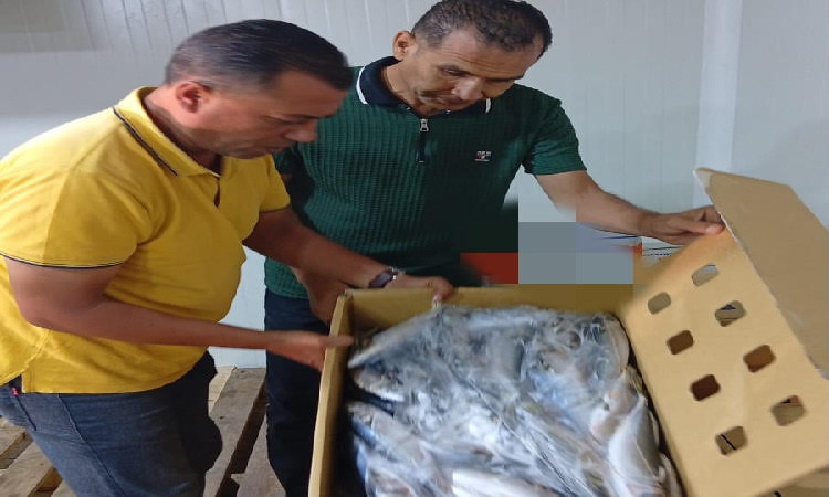 تموين الإسماعيلية يضبط ٥ أطنان مواد غذائية ومجمدات مجهولة المصدر