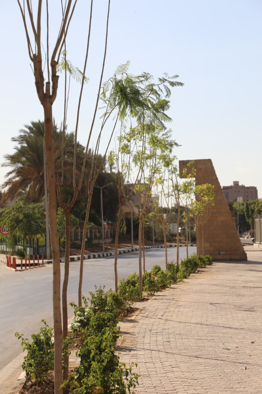 تخضير القاهرة