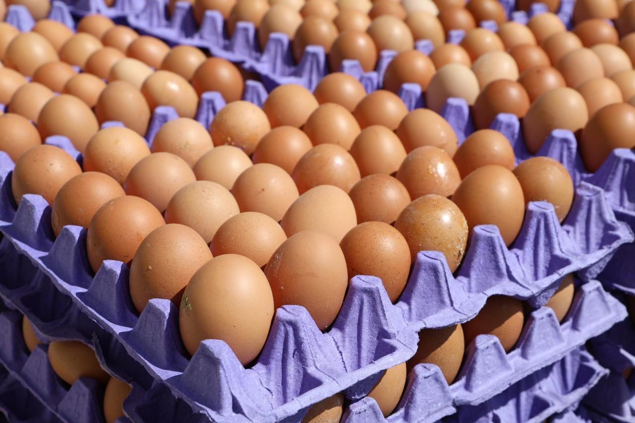 ت