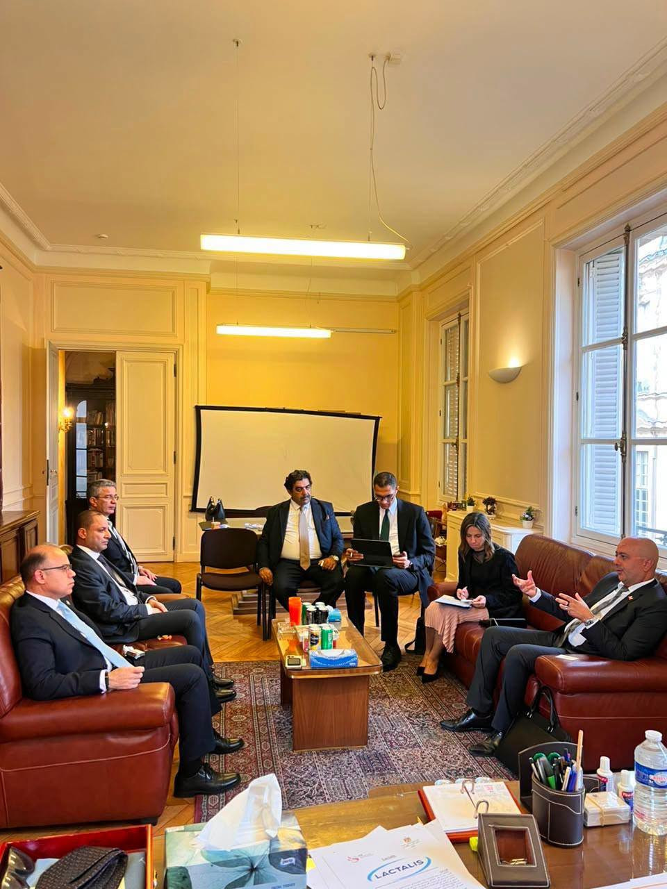 وزير الاستثمار