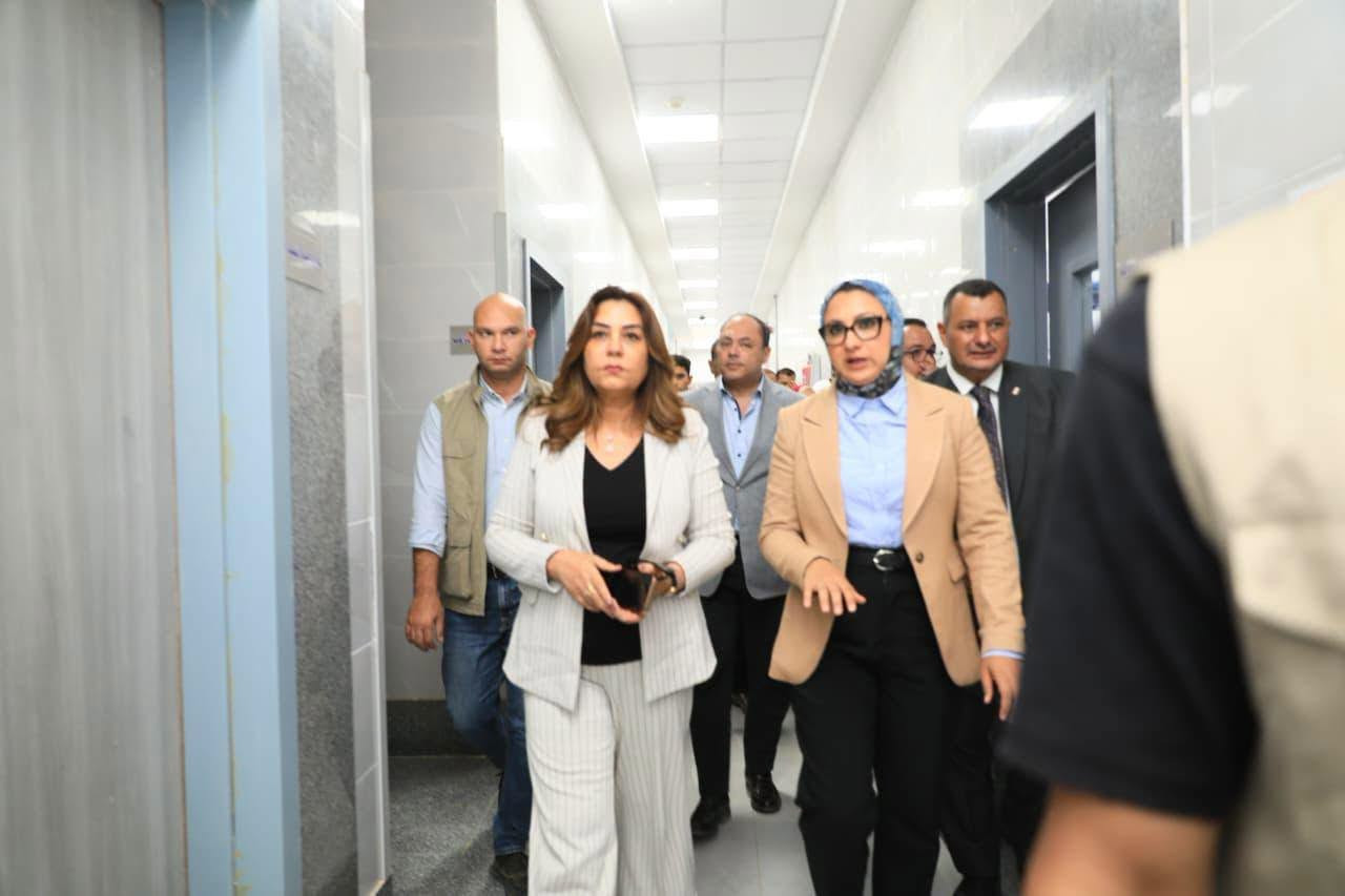 التنمية المحلية
