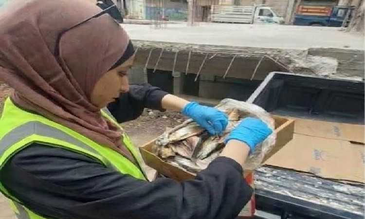 ضبط طن ونصف رنجة يشتبه في عدم صلاحيتها للاستهلاك الآدمي بالغربية