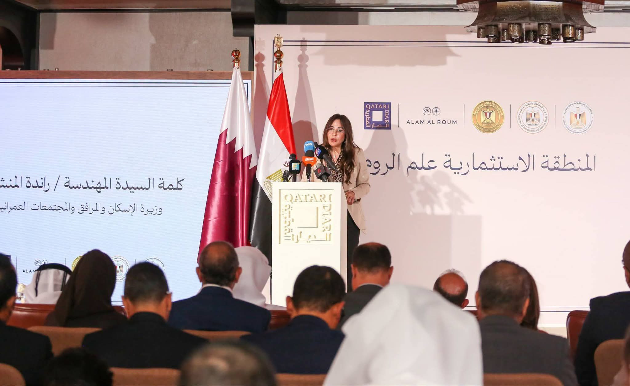 وزير الاستثمار