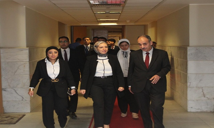 النيابة الادارية