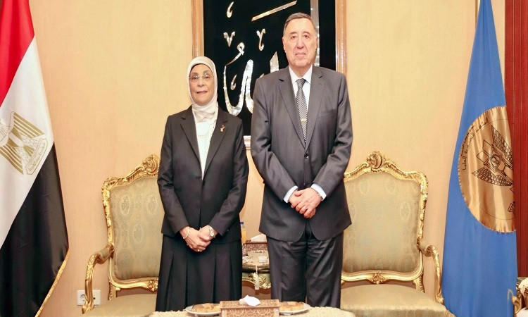 لقاء