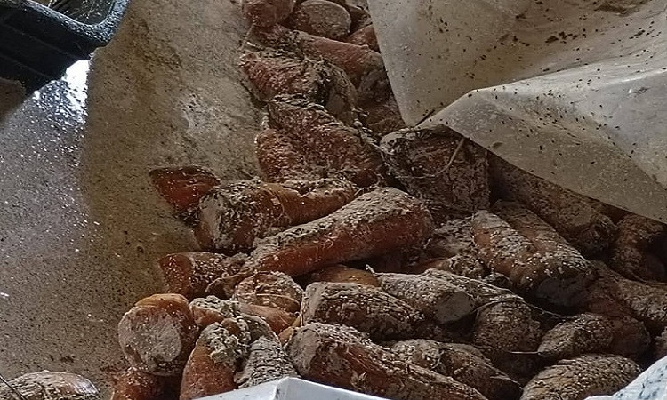 ضبط مصنع مخللات مخالف للاشتراطات الصحية وسط الأراضي الزراعية بالقليوبي