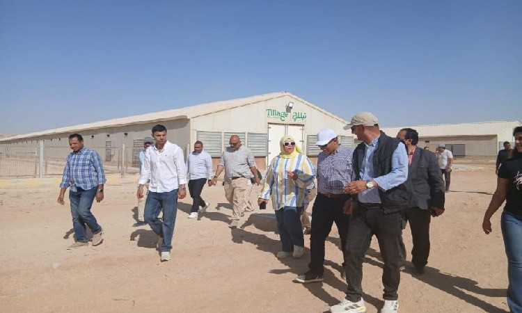 نائب محافظ المنيا1